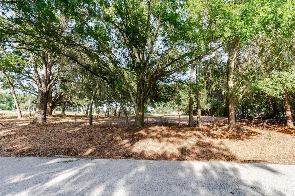 17380 Riverstone Drive Lutz FL 33558