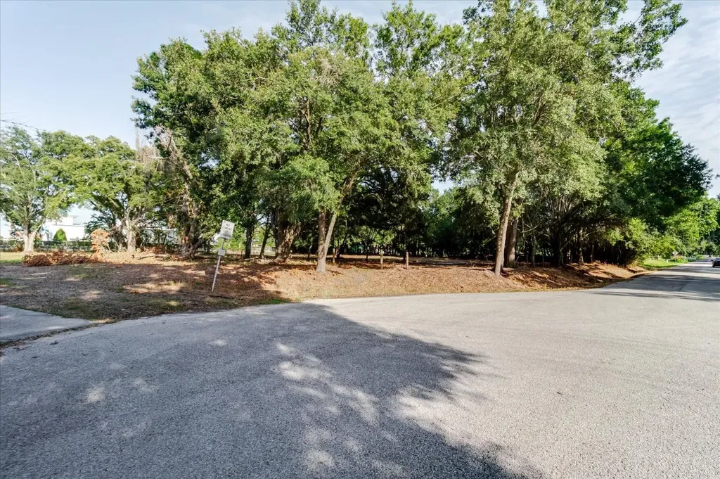 17380 Riverstone Drive Lutz FL 33558