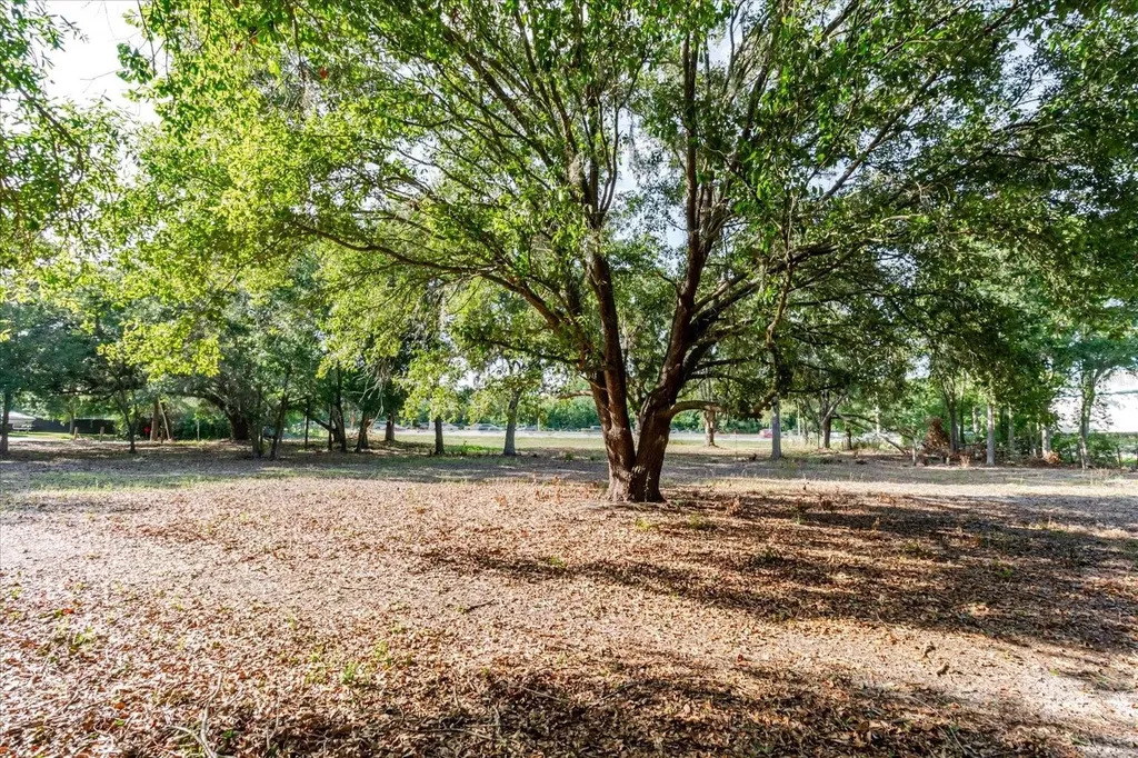 17380 Riverstone Drive Lutz FL 33558