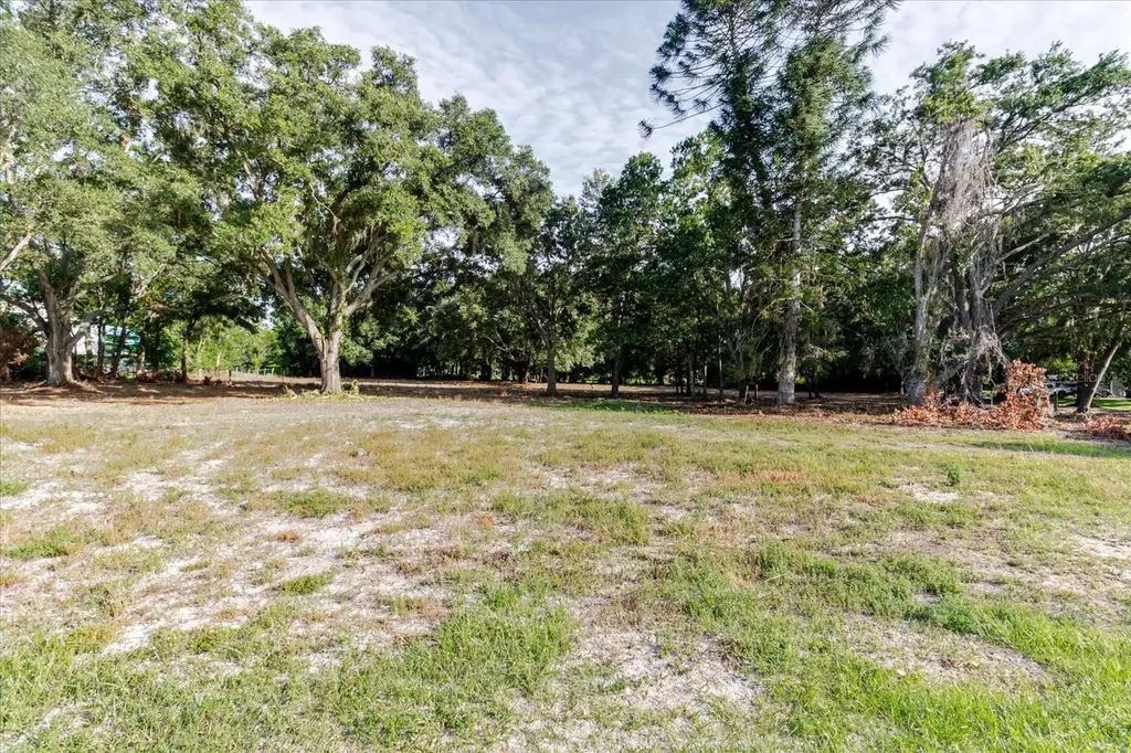 17380 Riverstone Drive Lutz FL 33558