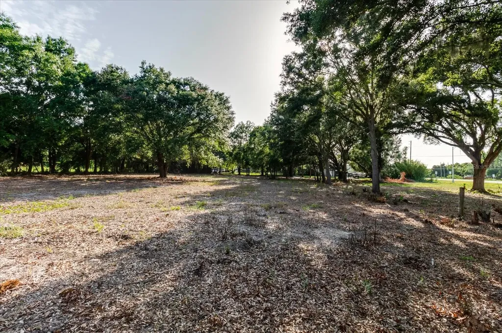 17380 Riverstone Drive Lutz FL 33558