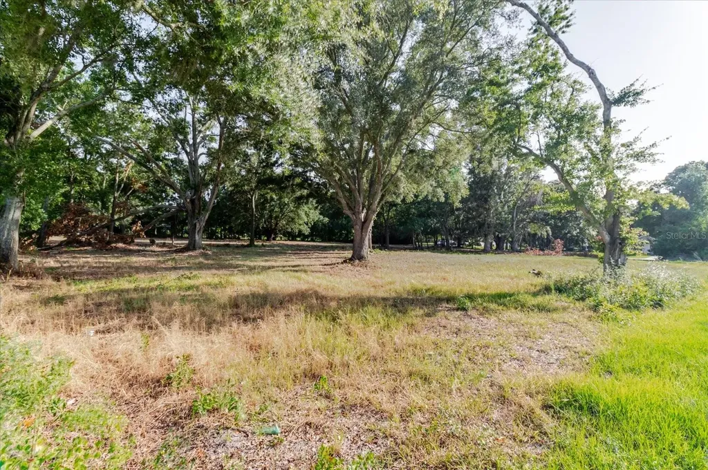 17380 Riverstone Drive Lutz FL 33558
