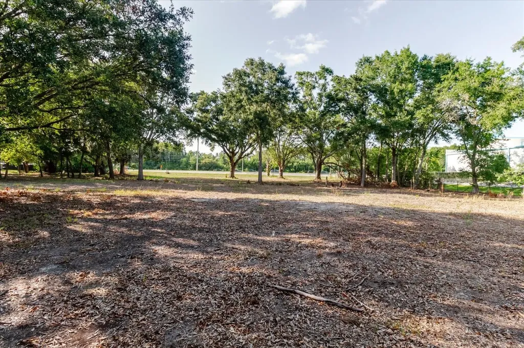 17380 Riverstone Drive Lutz FL 33558