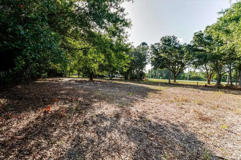 17380 Riverstone Drive Lutz FL 33558