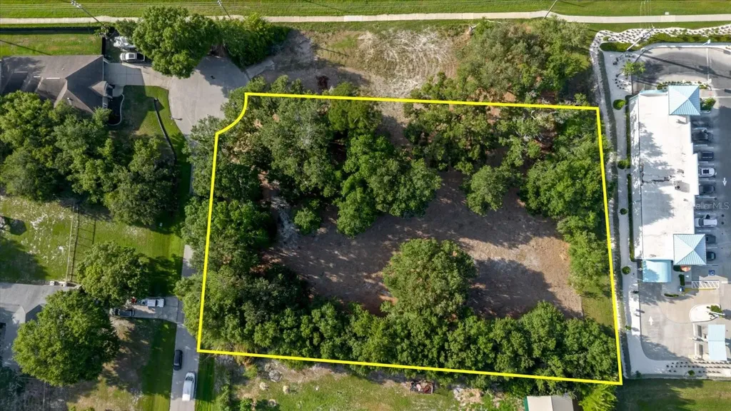 17380 Riverstone Drive Lutz FL 33558