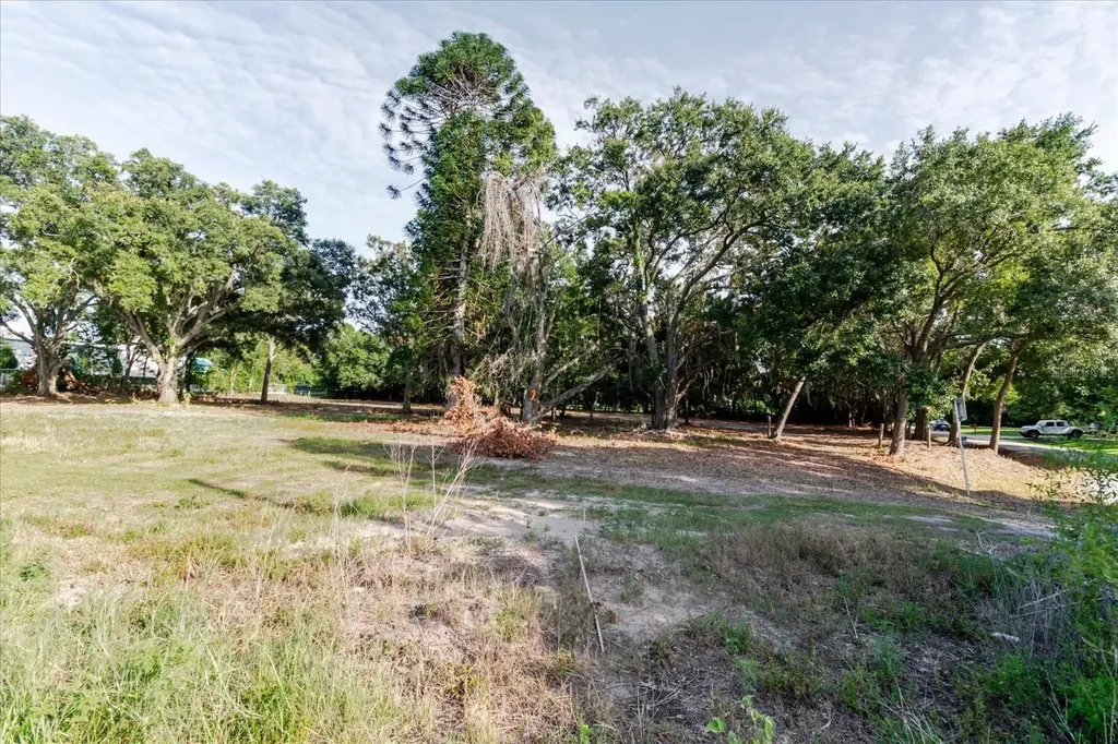 17380 Riverstone Drive Lutz FL 33558