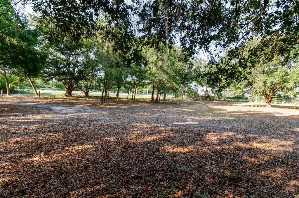 17380 Riverstone Drive Lutz FL 33558