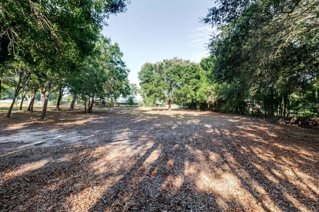 17380 Riverstone Drive Lutz FL 33558
