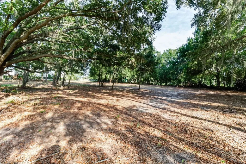 17380 Riverstone Drive Lutz FL 33558