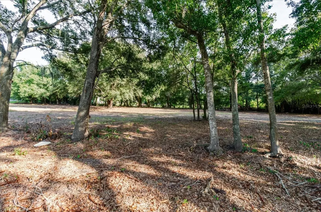 17380 Riverstone Drive Lutz FL 33558