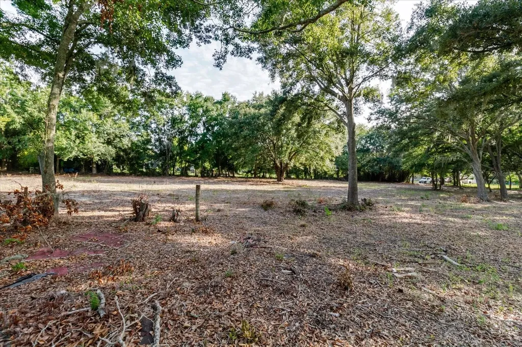 17380 Riverstone Drive Lutz FL 33558