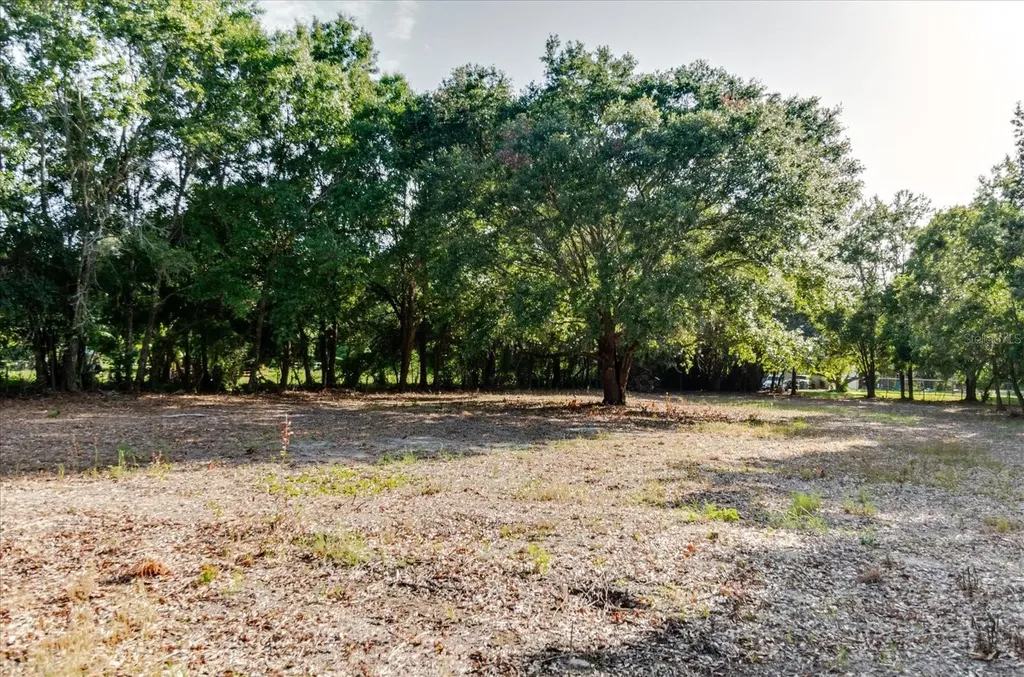 17380 Riverstone Drive Lutz FL 33558