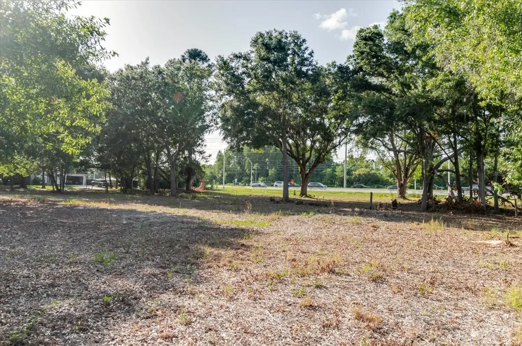 17380 Riverstone Drive Lutz FL 33558