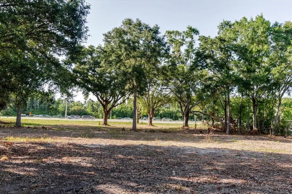 17380 Riverstone Drive Lutz FL 33558