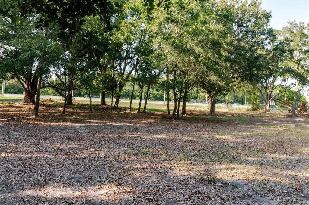 17380 Riverstone Drive Lutz FL 33558