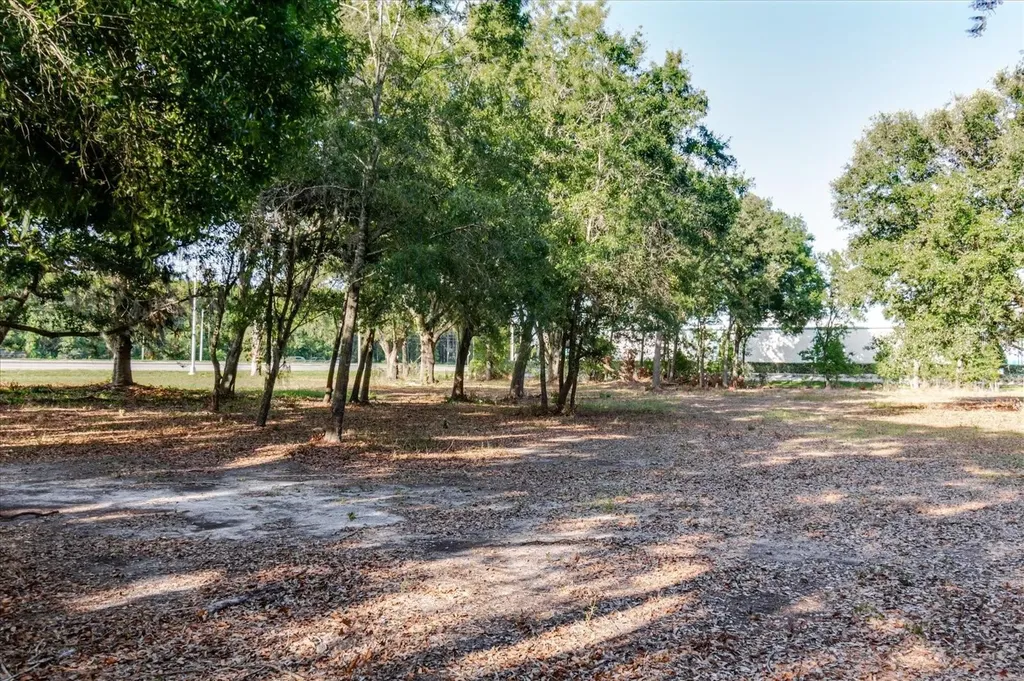 17380 Riverstone Drive Lutz FL 33558