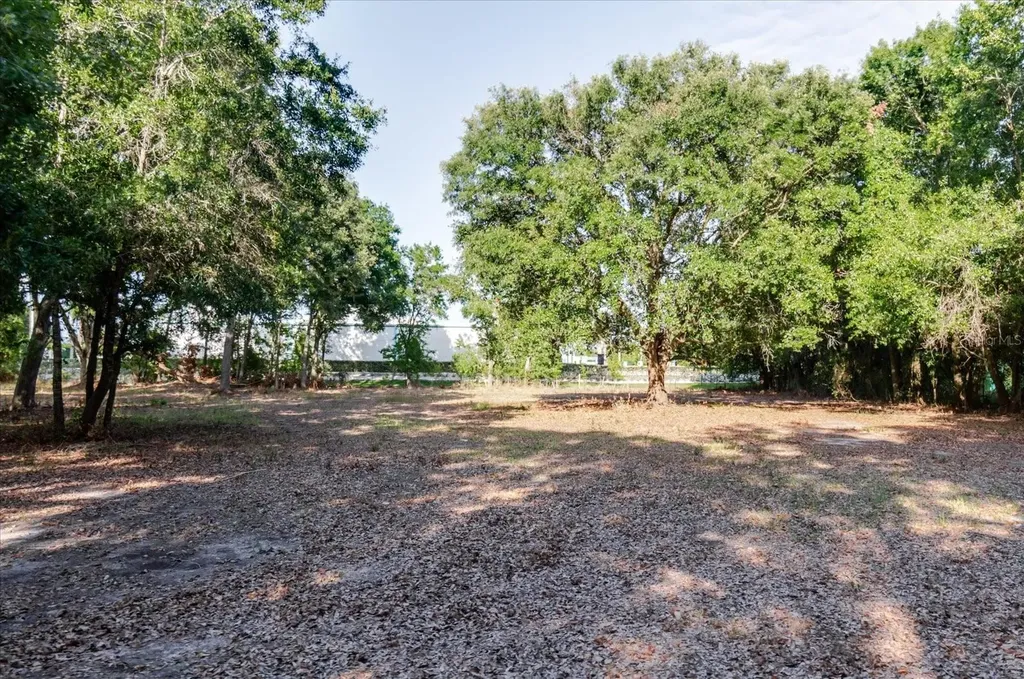 17380 Riverstone Drive Lutz FL 33558