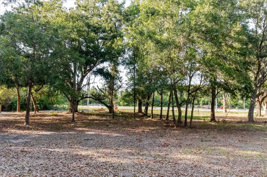 17380 Riverstone Drive Lutz FL 33558