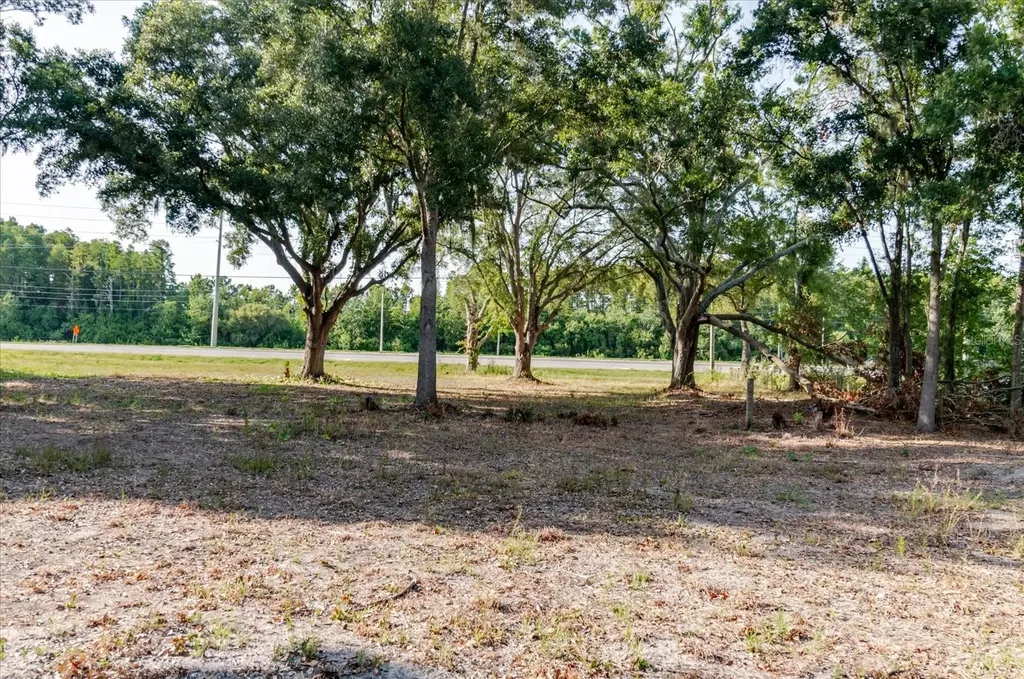 17380 Riverstone Drive Lutz FL 33558