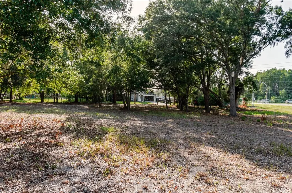 17380 Riverstone Drive Lutz FL 33558