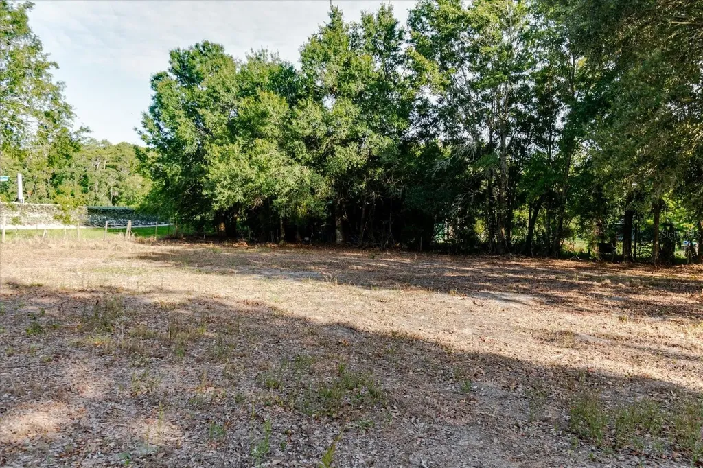 17380 Riverstone Drive Lutz FL 33558