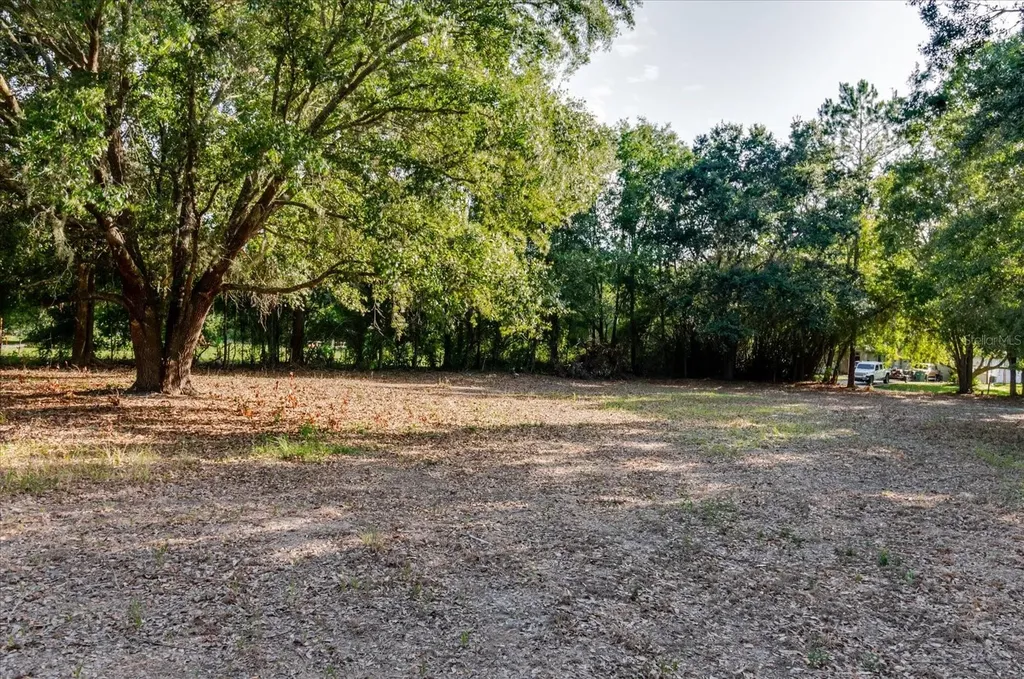 17380 Riverstone Drive Lutz FL 33558