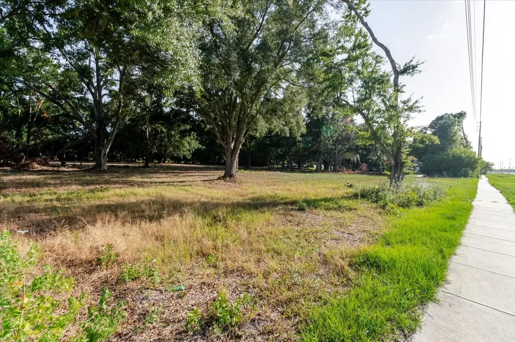 17380 Riverstone Drive Lutz FL 33558