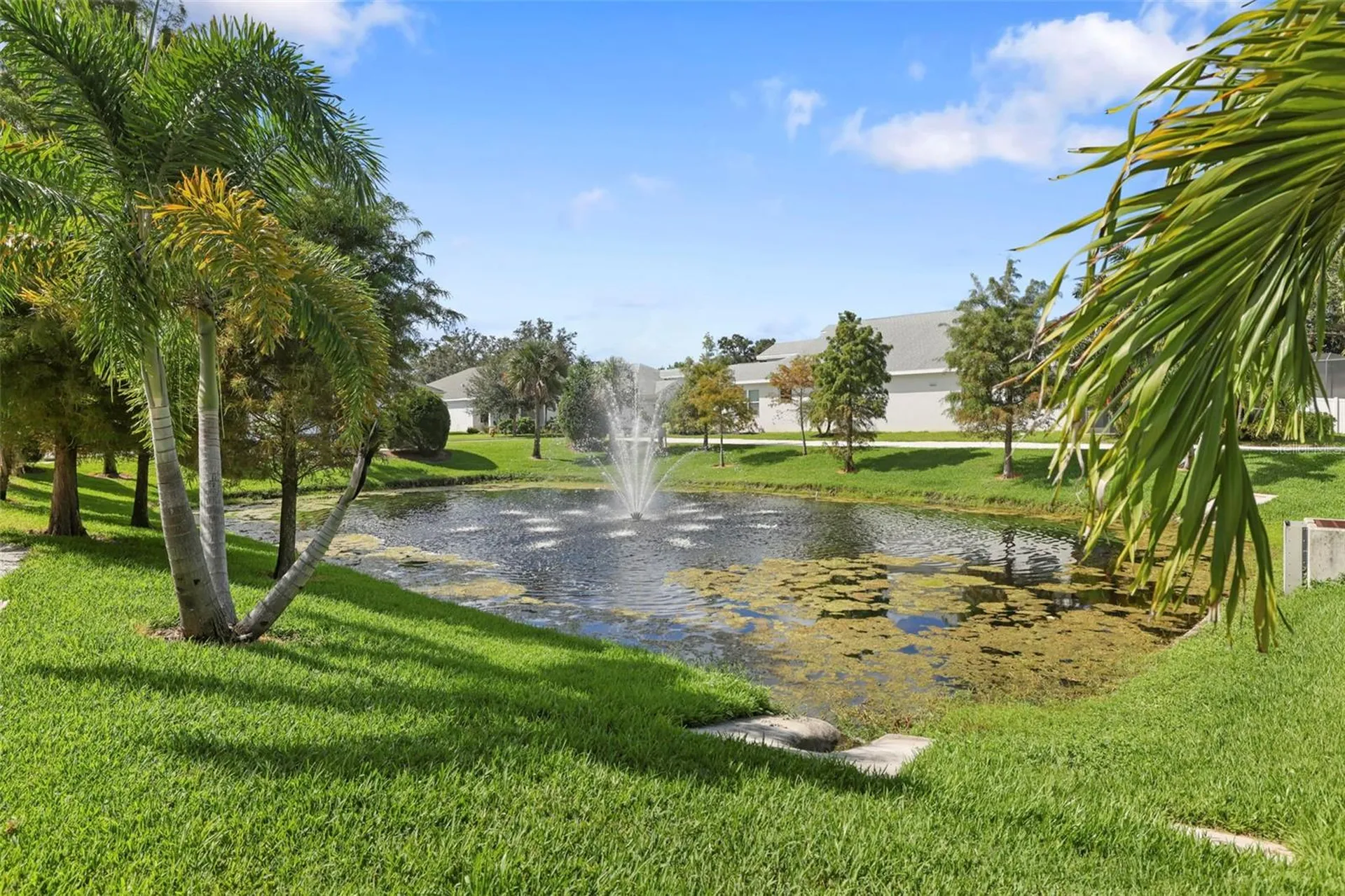 26 Concord Drive Dunedin FL 34698