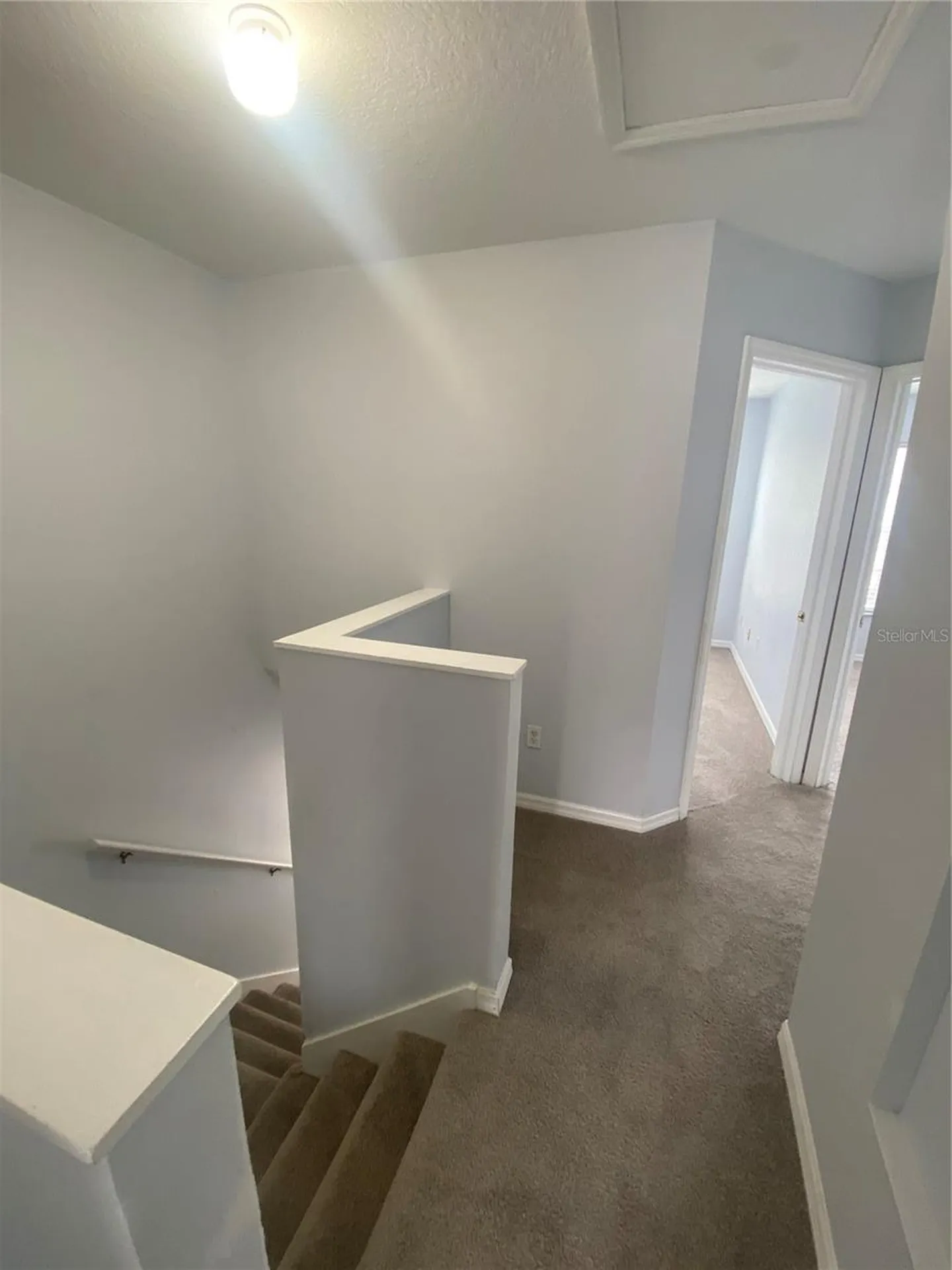 10103 Belleville Place Tampa FL 33624