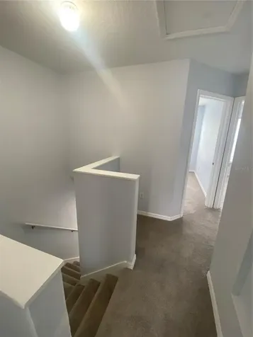 10103 Belleville Place Tampa FL 33624