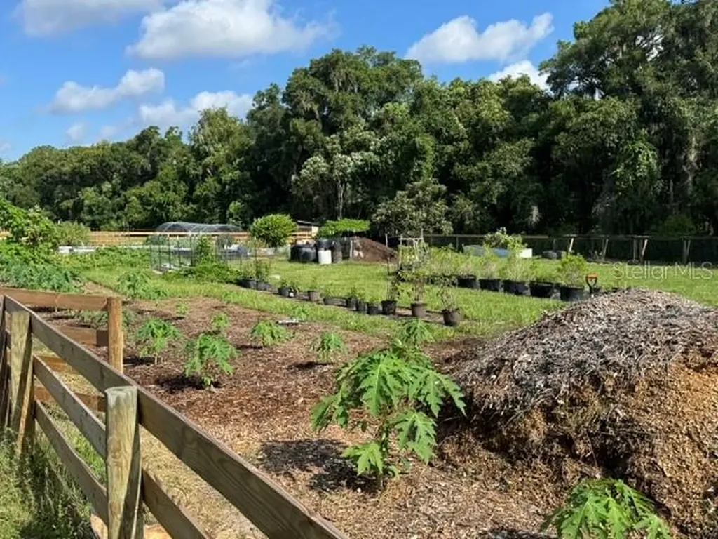 35934 Gatch Road Eustis FL 32736