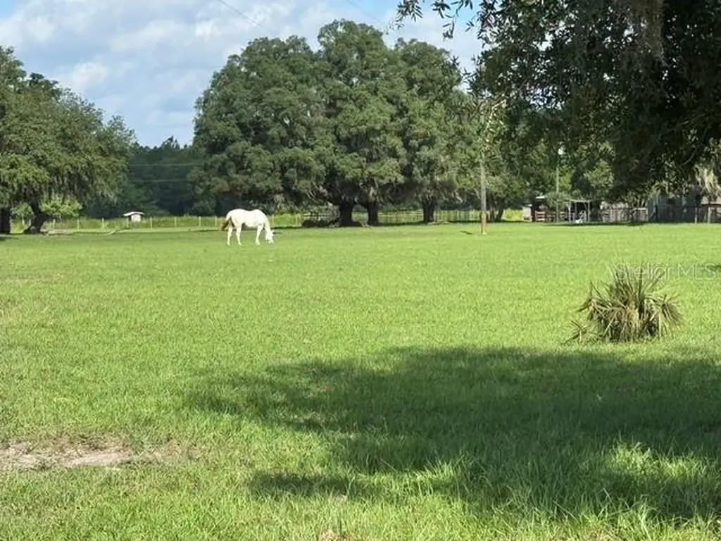 35934 Gatch Road Eustis FL 32736