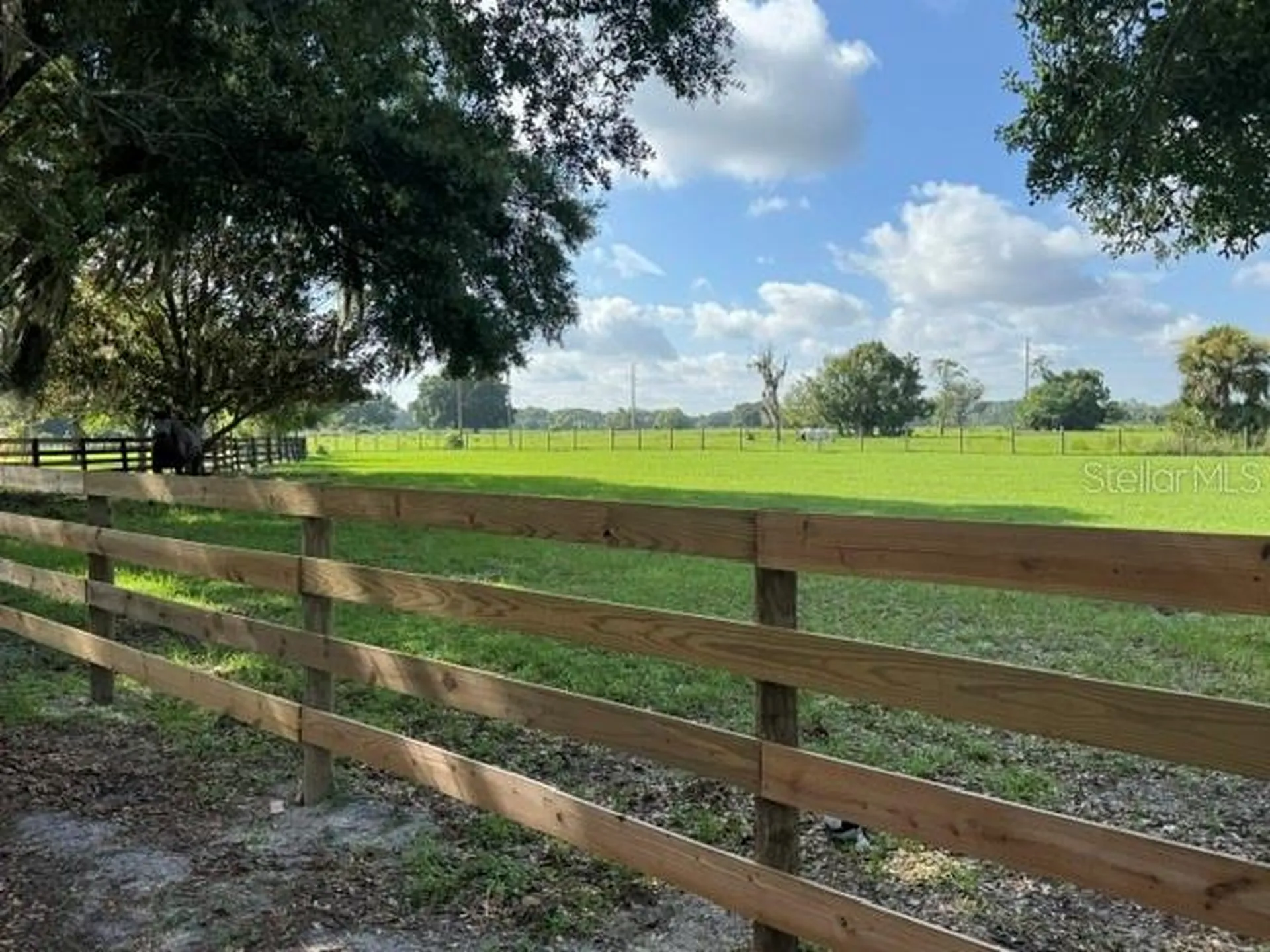 35934 Gatch Road Eustis FL 32736