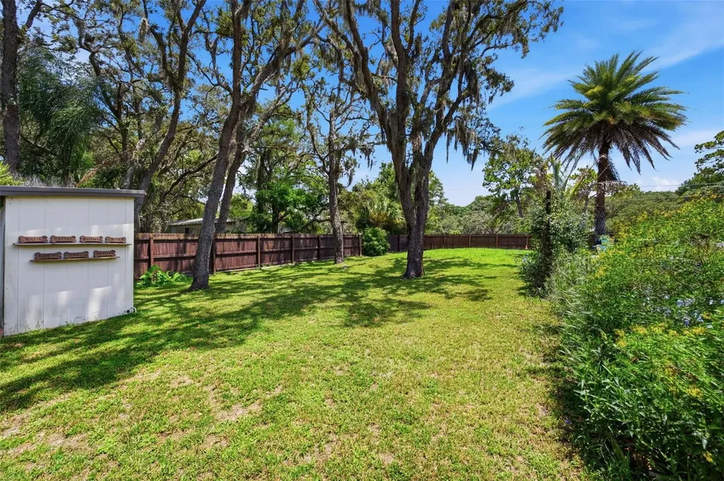 11240 Marquerite Avenue New Port Richey FL 34654