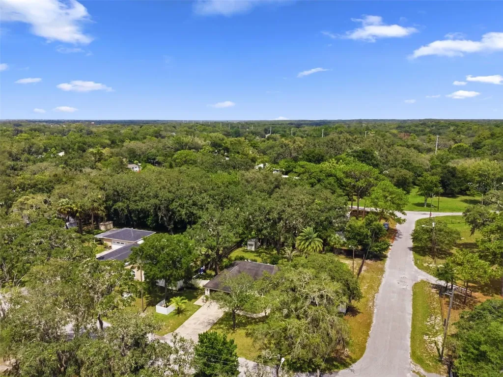 11240 Marquerite Avenue New Port Richey FL 34654