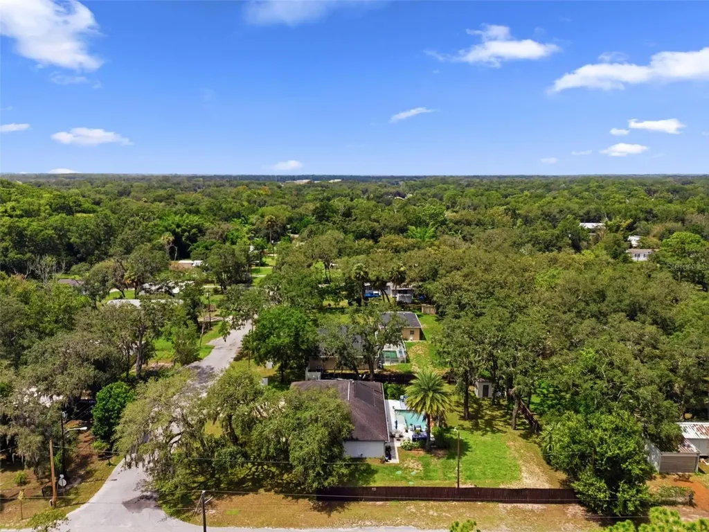 11240 Marquerite Avenue New Port Richey FL 34654