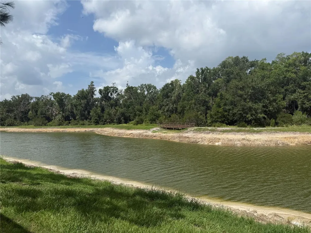 28423 Pleasant Bay Loop Wesley Chapel FL 33543