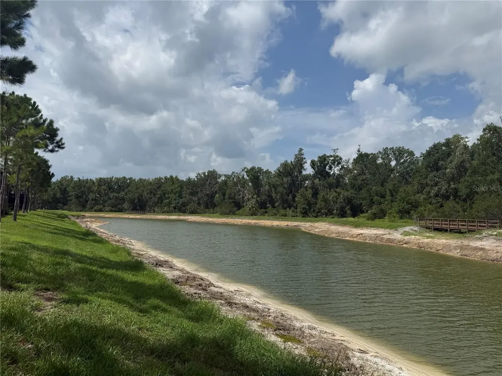 28423 Pleasant Bay Loop Wesley Chapel FL 33543