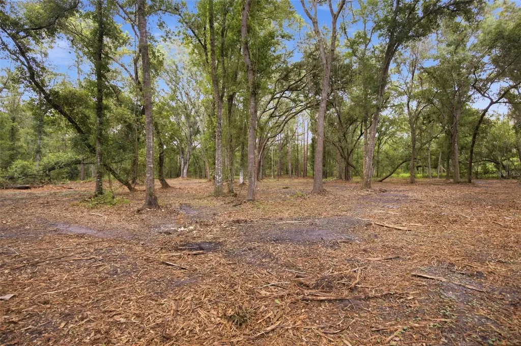 0 Old Dade City Road Kathleen FL 33849