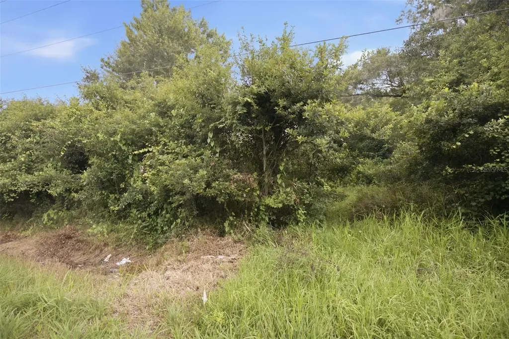 0 Old Dade City Road Kathleen FL 33849