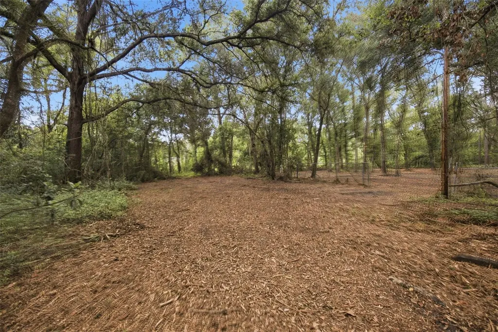 0 Old Dade City Road Kathleen FL 33849