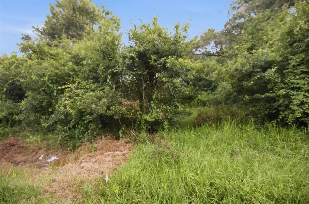 0 Old Dade City Road Kathleen FL 33849