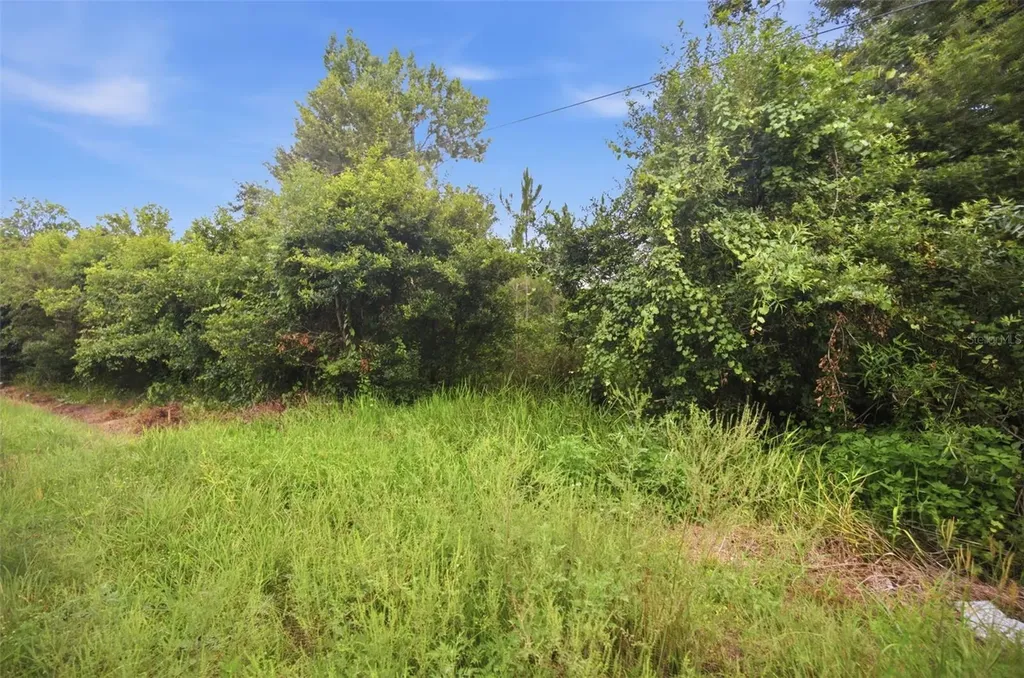 0 Old Dade City Road Kathleen FL 33849
