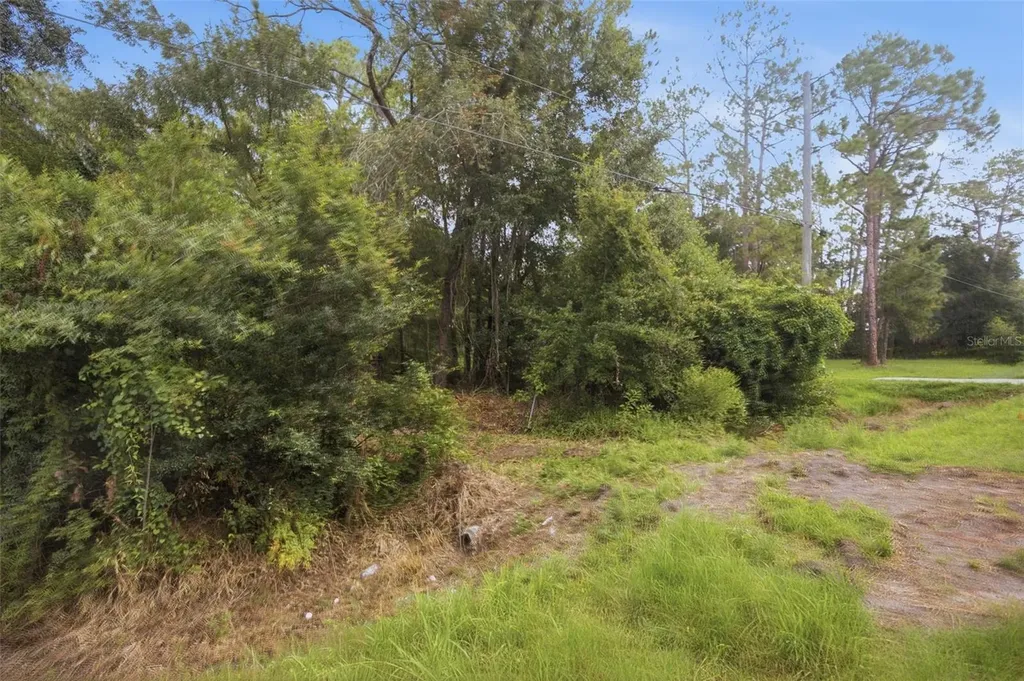0 Old Dade City Road Kathleen FL 33849