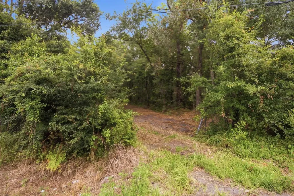 0 Old Dade City Road Kathleen FL 33849