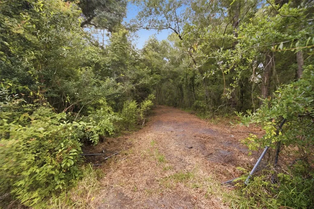 0 Old Dade City Road Kathleen FL 33849