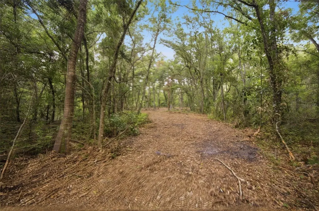 0 Old Dade City Road Kathleen FL 33849