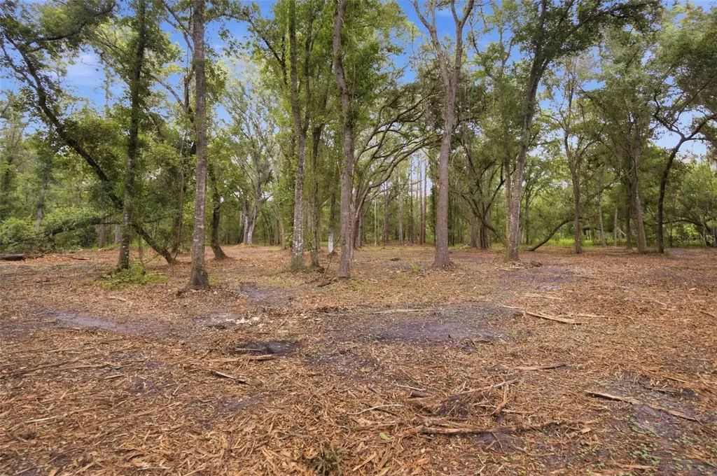 0 Old Dade City Road Kathleen FL 33849