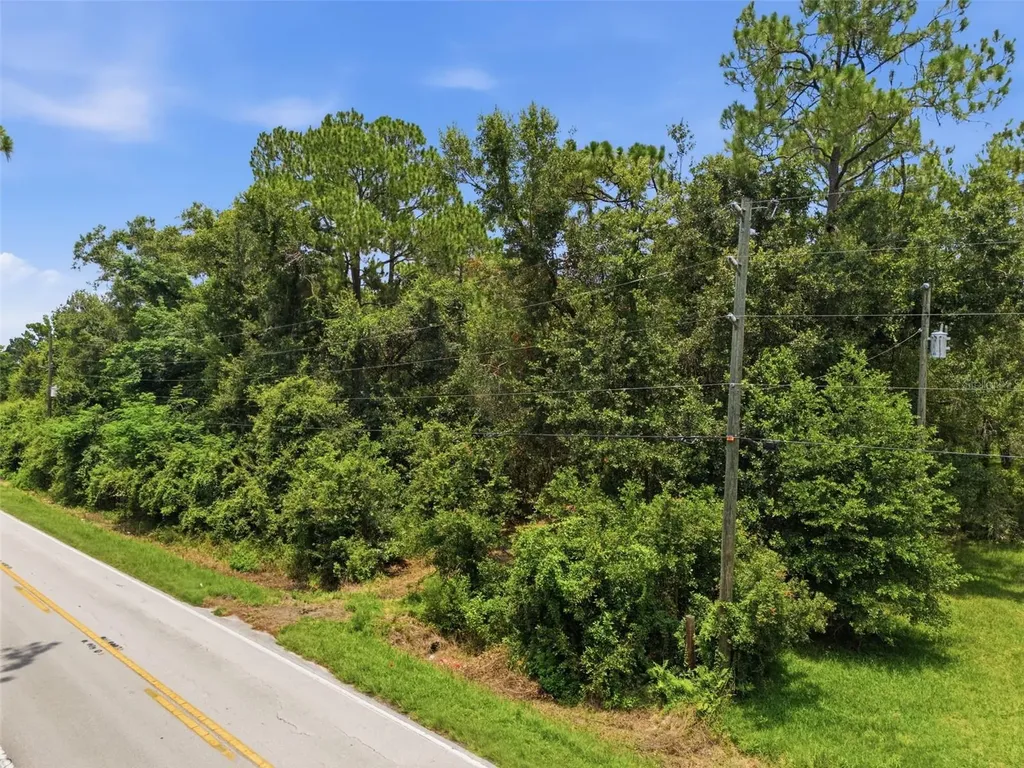 0 Old Dade City Road Kathleen FL 33849
