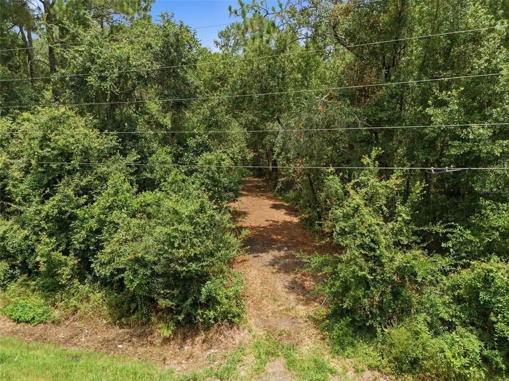 0 Old Dade City Road Kathleen FL 33849